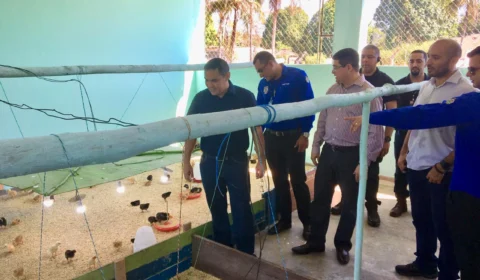 Detentos tem a oportunidade de se reintegrar à sociedade através do projeto da CDPM2