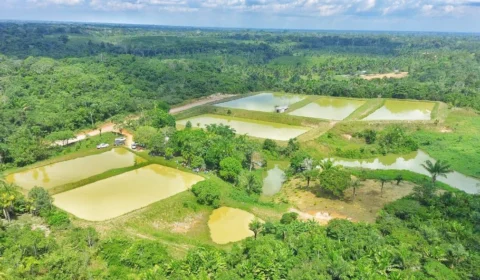 Piscicultores de Coari aprendem técnicas de criação de peixes em diferentes sistemas de produção