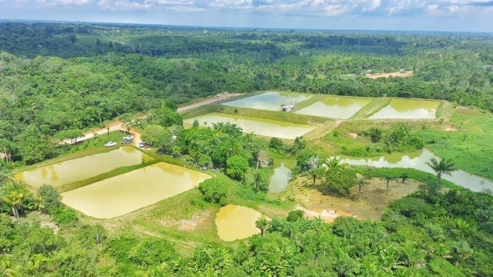 Piscicultores de Coari aprendem técnicas de criação de peixes em diferentes sistemas de produção
