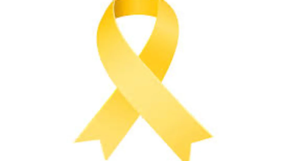 Abertura oficial das atividades do Julho Amarelo – programação de combate às hepatites virais