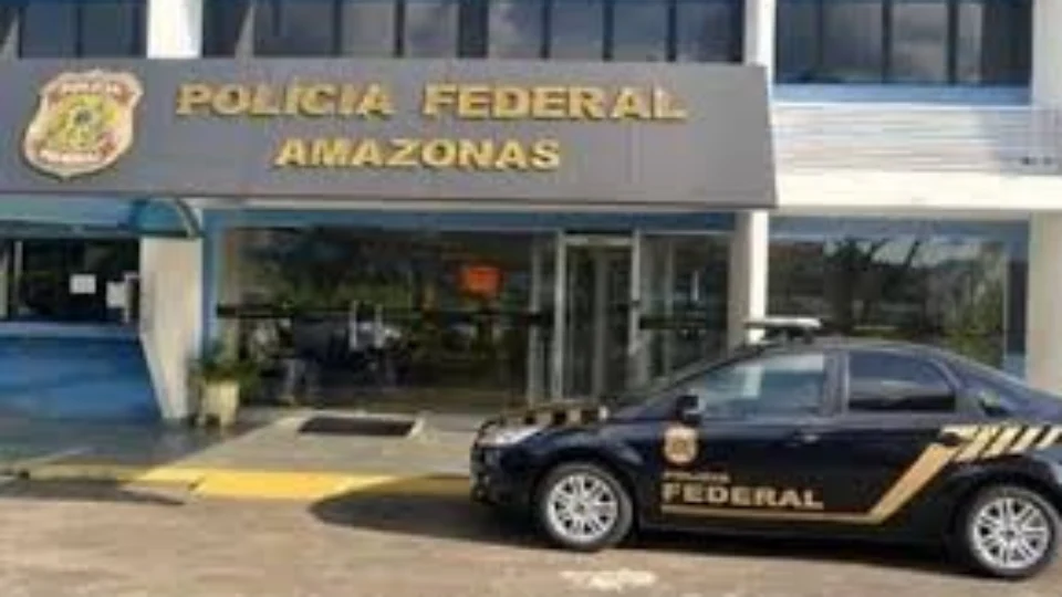 PF em operação Arquimedes desarticula um esquema de extração ilegal de madeira no Am