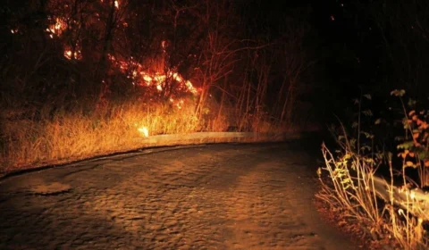 Incêndio atinge área de vegetação e assusta moradores no bairro Nova Vitória