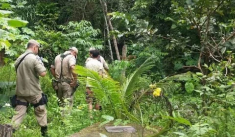 Avião cai em área de mata e deixa um morto em município do AM