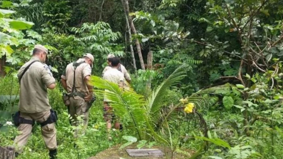 Avião cai em área de mata e deixa um morto em município do AM