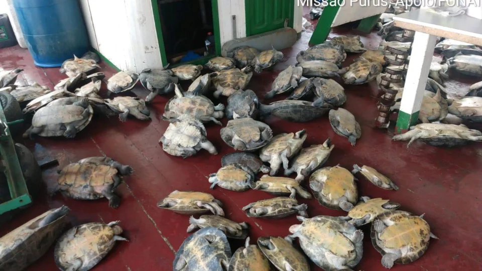 Batalhão Ambiental, em parceria com Ibama e Funai, desenvolve operação ambiental no sul do AM