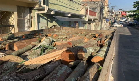 Cinco homens são presos por desmatamento ilegal