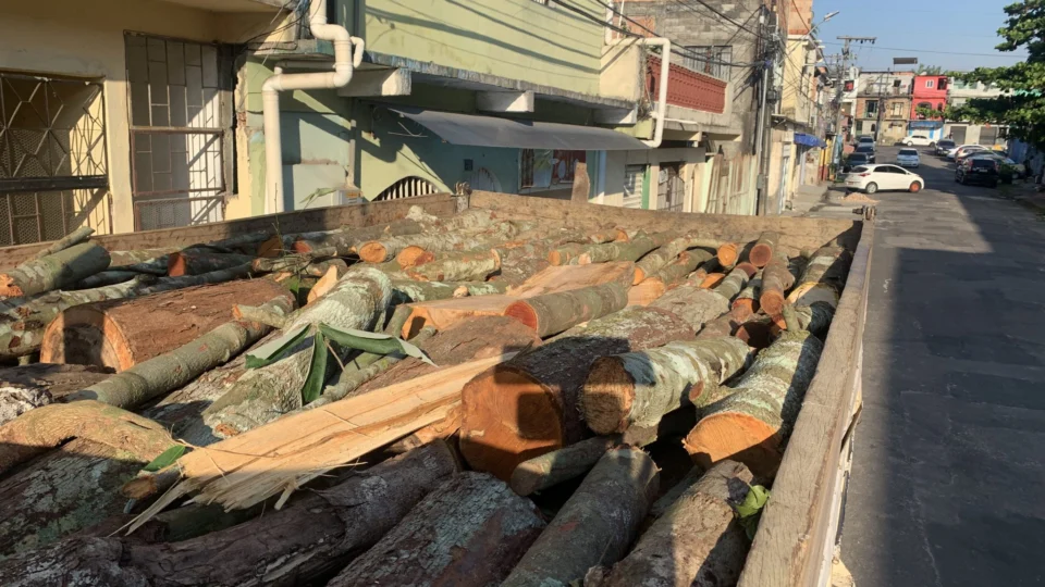 Cinco homens são presos por desmatamento ilegal