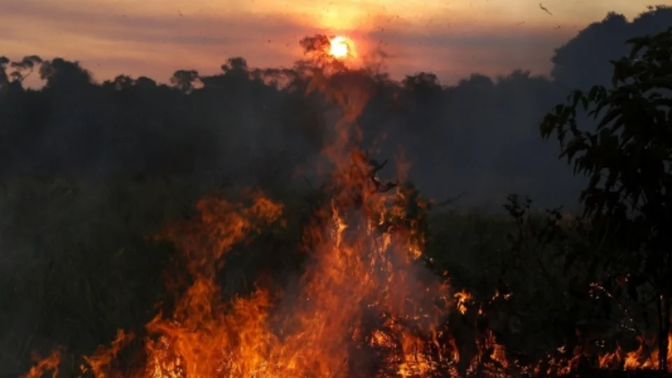 Entenda as diferenças entre queimadas, incêndios e focos de calor que assolam a Amazônia