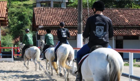 Terapia com cavalos da PM beneficia crianças com deficiência em Manaus