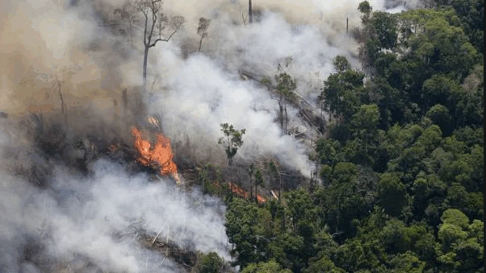 Novos desmatamentos e mais de 15 queimadas são flagradas no sul do AM