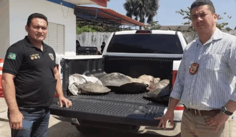 Grande quantidade de carnes de animais silvestres, quelônios, aves e pirarucu são apreendidos em Coari