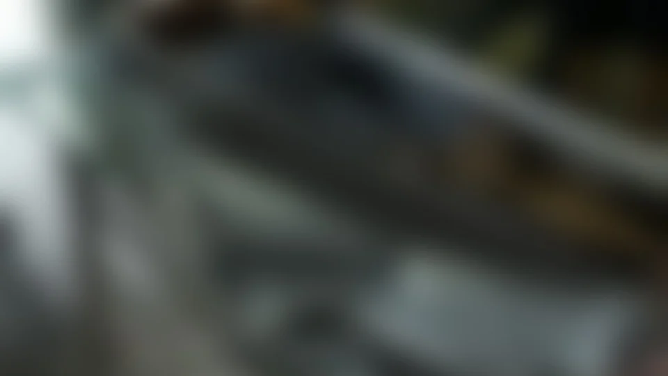 Homem é assassinado a tiros no Monte das Oliveiras