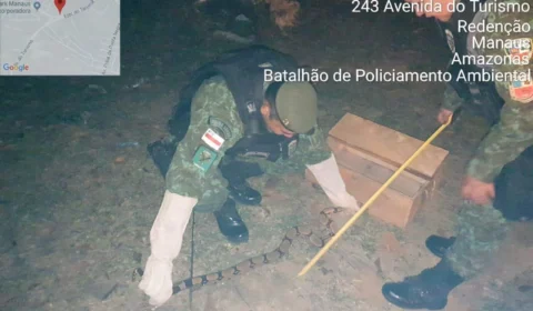 Jiboia é resgatada na Zona Leste pelo Comando de Policiamento Ambiental