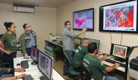 Ipaam identifica responsáveis por desmatar 99,8 mil hectares no sul do Amazonas e na RMM