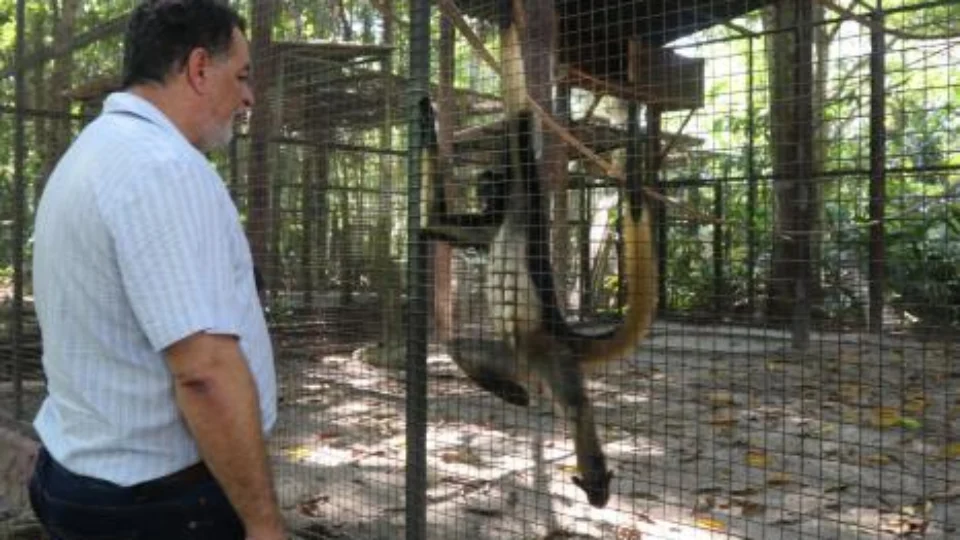 Ipaam acompanhará destinação dos animais do zoológico do Tropical Hotel