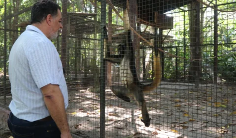 Ipaam realiza monitoramento de animais que estão no zoológico do Tropical Hotel
