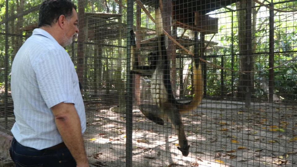 Ipaam realiza monitoramento de animais que estão no zoológico do Tropical Hotel