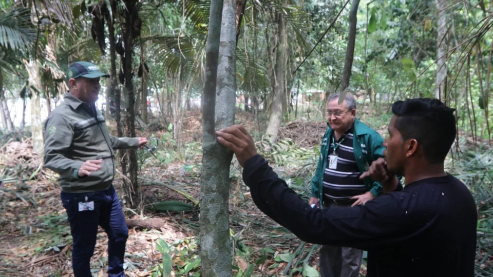 Ipaam fiscaliza área preparada para ser desmatada na Efigênio Salles