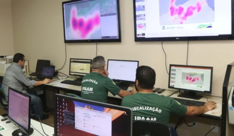 Sítio é multado em aproximadamente R$ 4 milhões por queimadas e desmatamento em Apuí (AM)