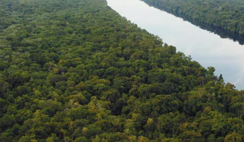 Avião de pequeno porte cai próximo ao Careiro da Várzea