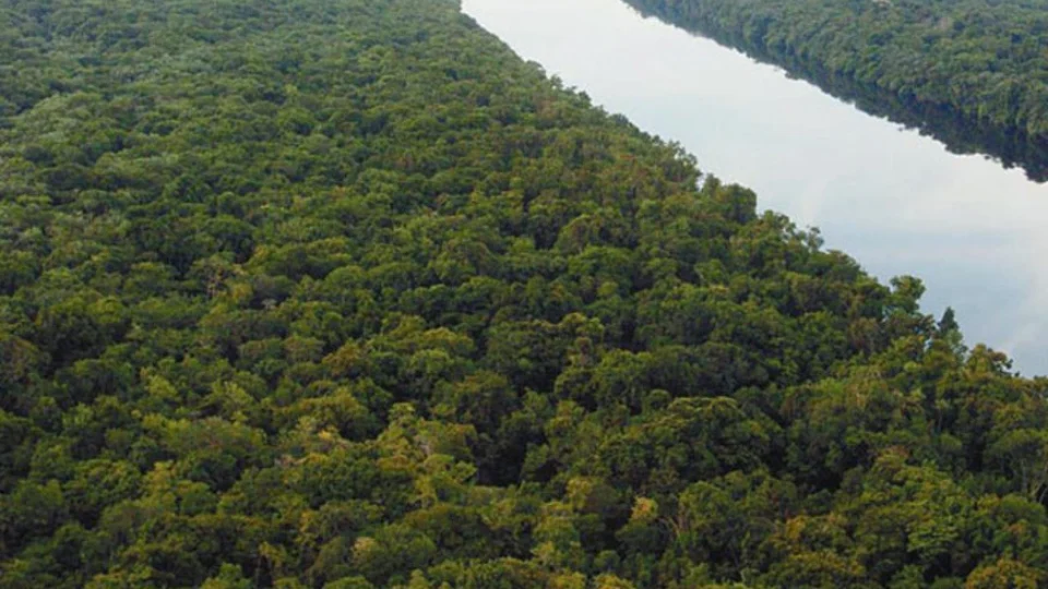 Avião de pequeno porte cai próximo ao Careiro da Várzea