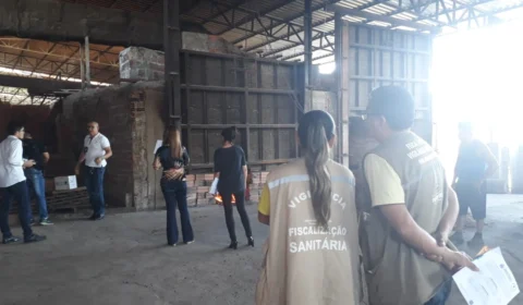 Polícia Civil incinera 3,5 kg de entorpecentes em Parintins