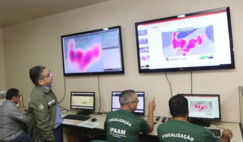Ipaam responsabiliza outros estados por queimadas no Amazonas