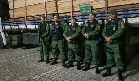 Carga de madeira irregular é apreendida na Compensa