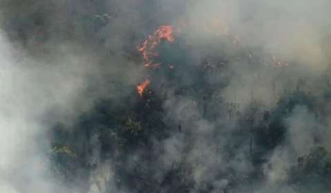 Queimadas têm redução de 68% no mês de outubro no Amazonas