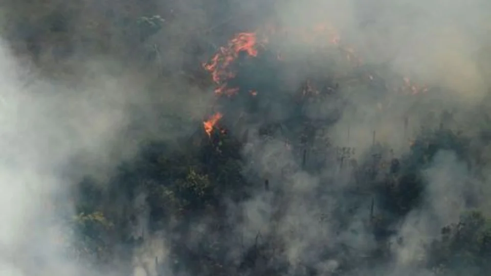 Queimadas têm redução de 68% no mês de outubro no Amazonas