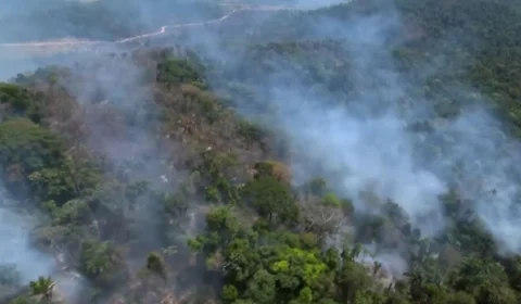 Força-tarefa apura adequação de políticas públicas para combate ao desmate e queimadas no Amazonas