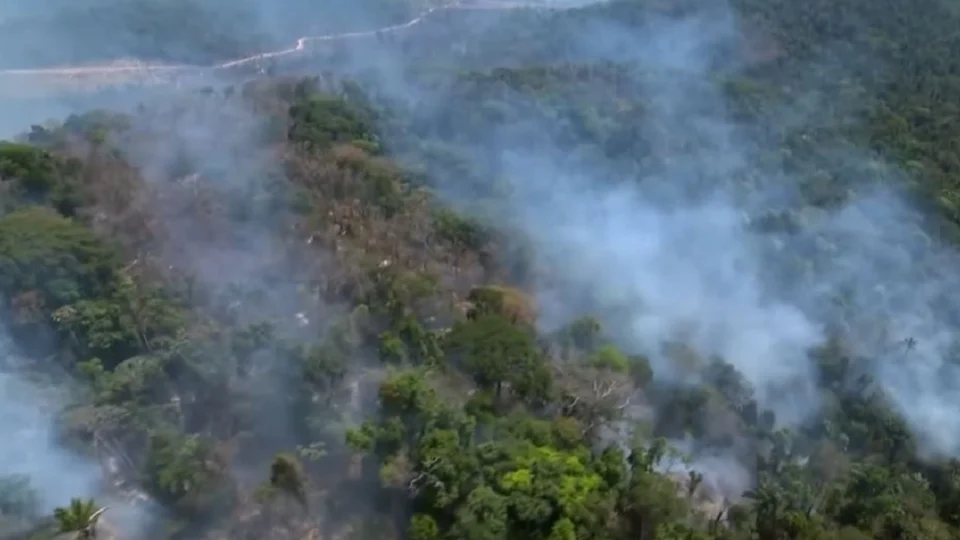 Força-tarefa apura adequação de políticas públicas para combate ao desmate e queimadas no Amazonas