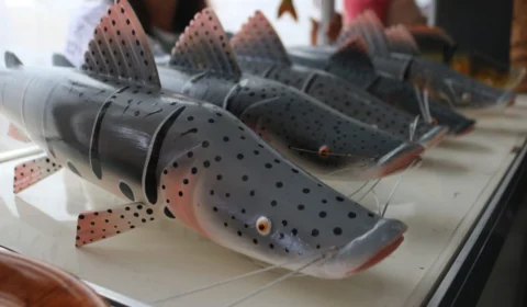 Setrab divulga edital para duas exposições de artesanato