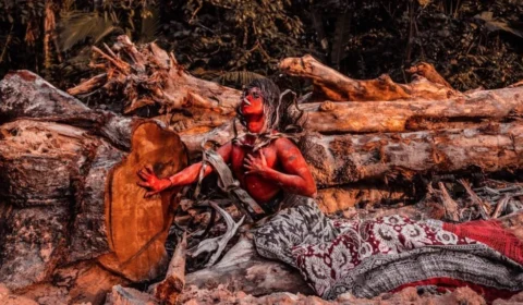 Série fotográfica ‘A Última Floresta’  retrata desmatamento na Amazônia