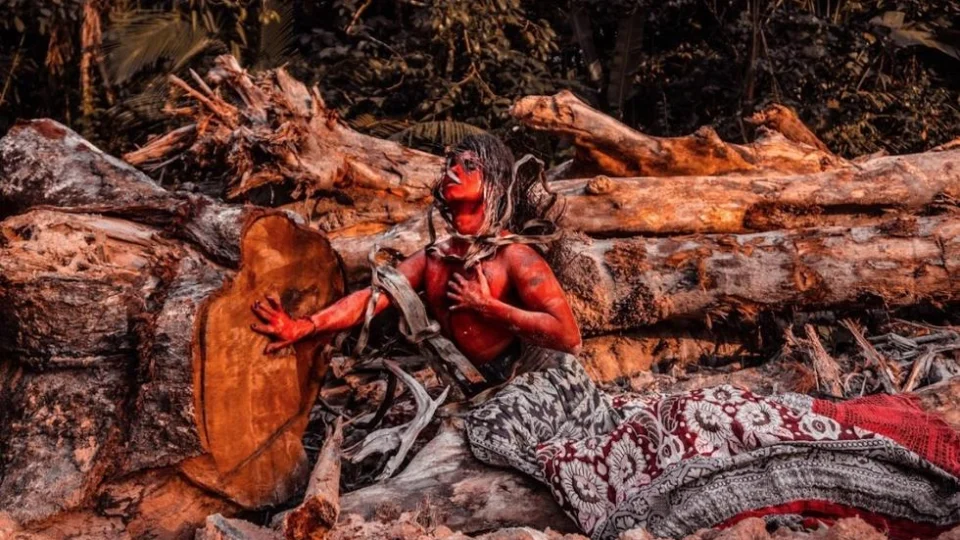 Série fotográfica ‘A Última Floresta’  retrata desmatamento na Amazônia