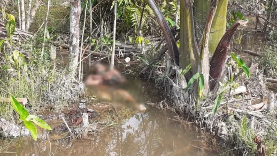 Corpo é encontrado com mãos amarradas em igarapé, na zona Norte