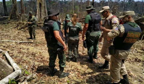 Operação embarga mais 1.625 hectares de terra no sul do Amazonas por queimadas e desmatamento ilegal