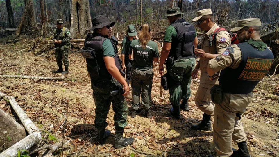 Operação embarga mais 1.625 hectares de terra no sul do Amazonas por queimadas e desmatamento ilegal