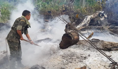 AM reduz focos de calor em 70% e cidades deixam ranking nacional das queimadas