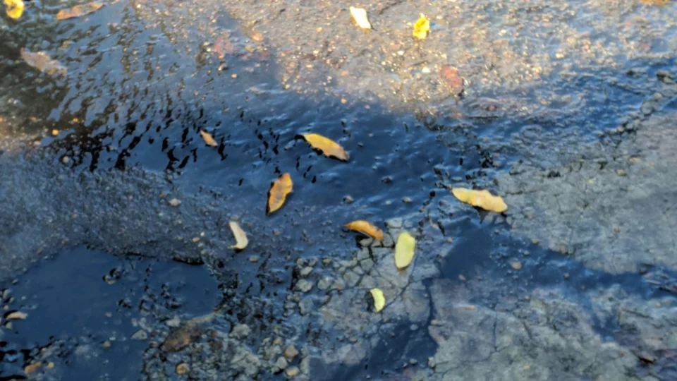 ‘Não aguentamos mais essas fezes boiando pela frente de casa’, diz moradora, em rua do São Francisco