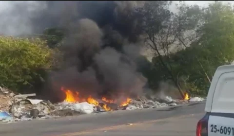 Vídeo: Incêndio atinge área de mata no Distrito
