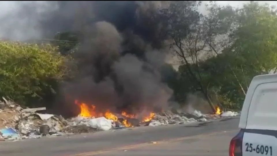 Vídeo: Incêndio atinge área de mata no Distrito