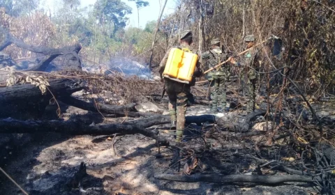 Força-tarefa intensifica operação de combate a queimadas no sul do Amazonas durante feriado prolongado