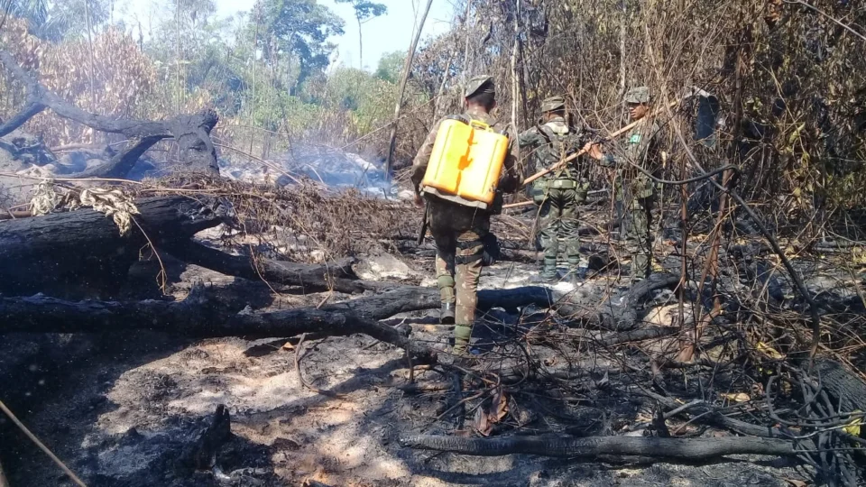 Força-tarefa intensifica operação de combate a queimadas no sul do Amazonas durante feriado prolongado