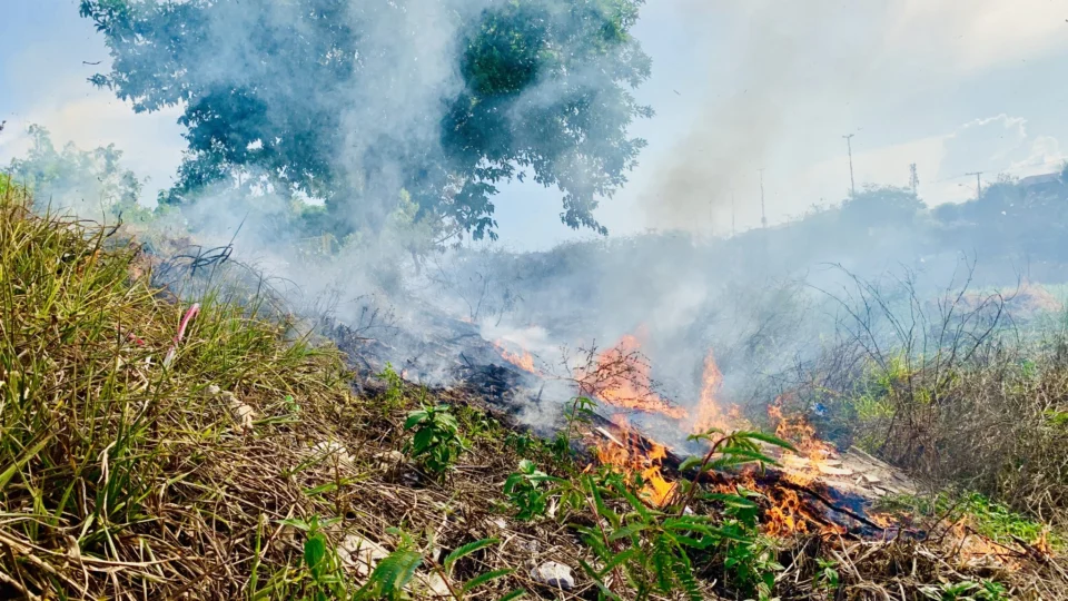 Área de vegetação é propositalmente incendiada, no bairro Morro da Liberdade