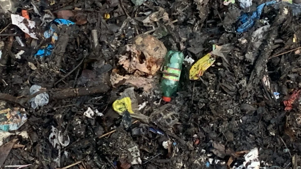 Crânio humano é encontrado em decomposição, no bairro Aleixo
