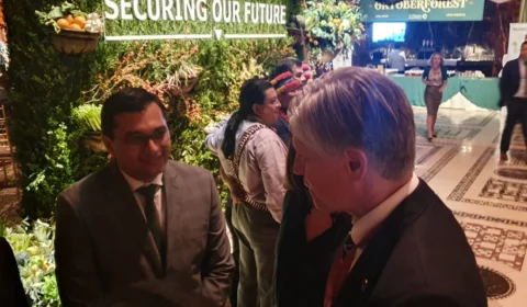 Em conversa com Wilson Lima, ministro da Noruega afirma que país quer parceria com Amazonas mesmo sem o Fundo Amazônia