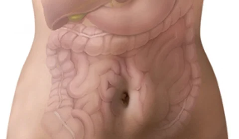 Setembro reforça o alerta sobre a prevenção do câncer de intestino
