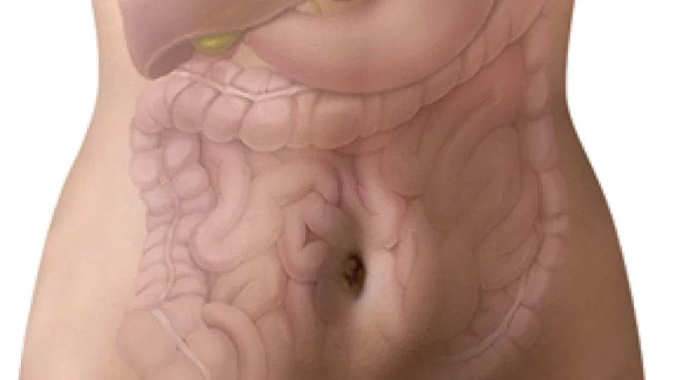 Setembro reforça o alerta sobre a prevenção do câncer de intestino