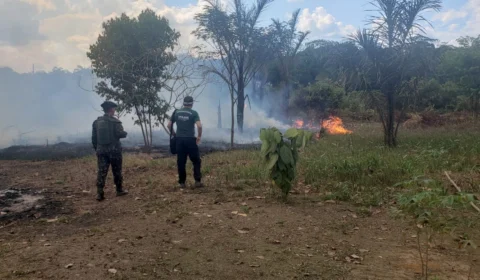 Operação contra queimadas multa seis empreendimentos em Canutama (AM) em mais de R$ 4,9 milhões